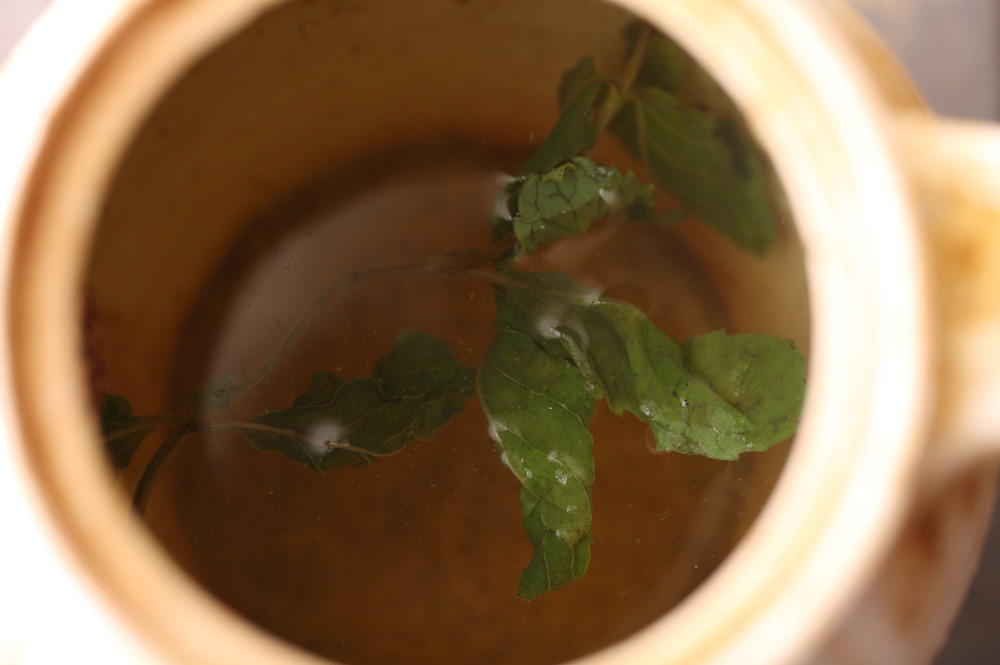 ひげ茶×ミント茶