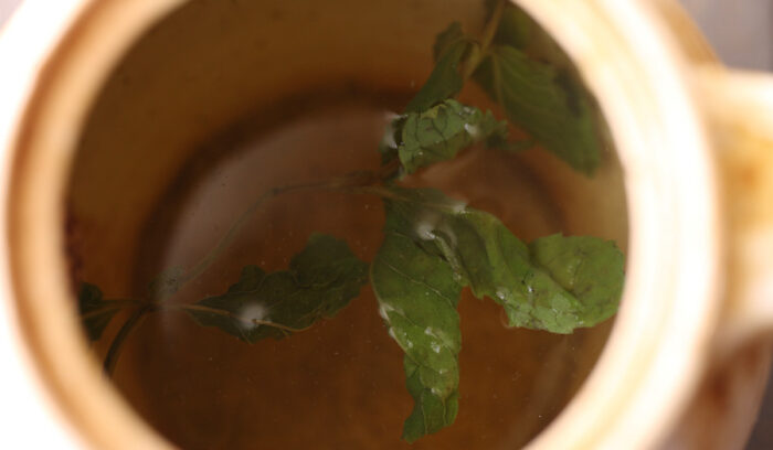 身近な野菜や植物で作る“和製ハーブティー”「野菜茶」