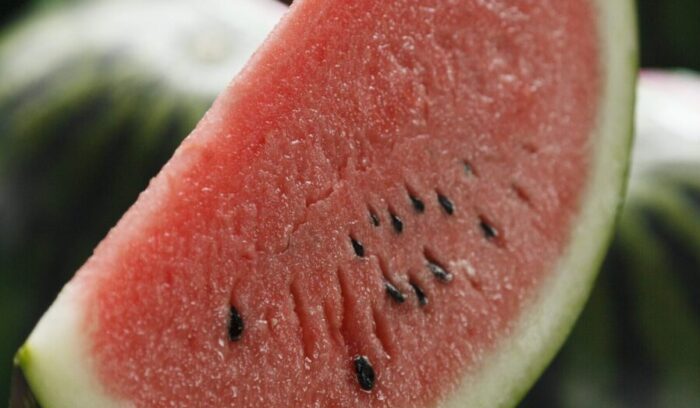 大玉需要が減っても愛され続ける「スイカ」