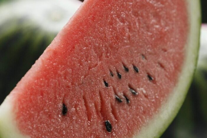 大玉需要が減っても愛され続ける「スイカ」