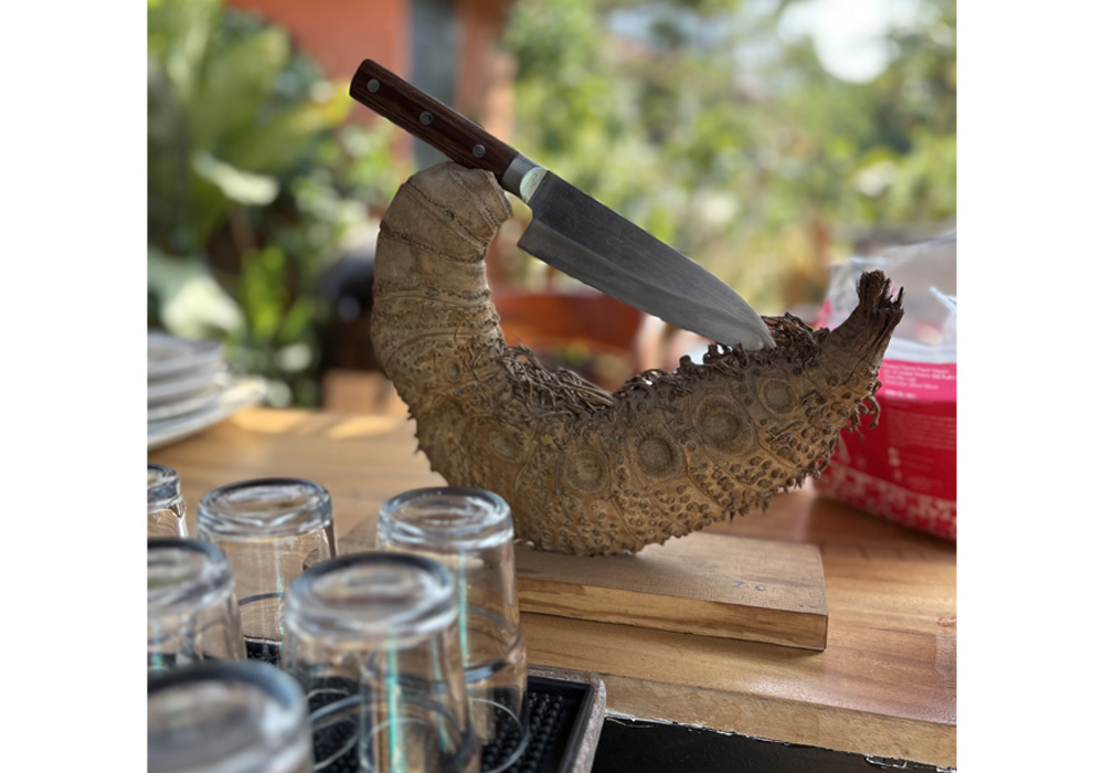 筍のナイフスタンド