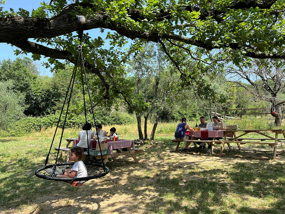 木陰に設えられたピクニックスペース。家族連れやグループで週末を楽しむ。