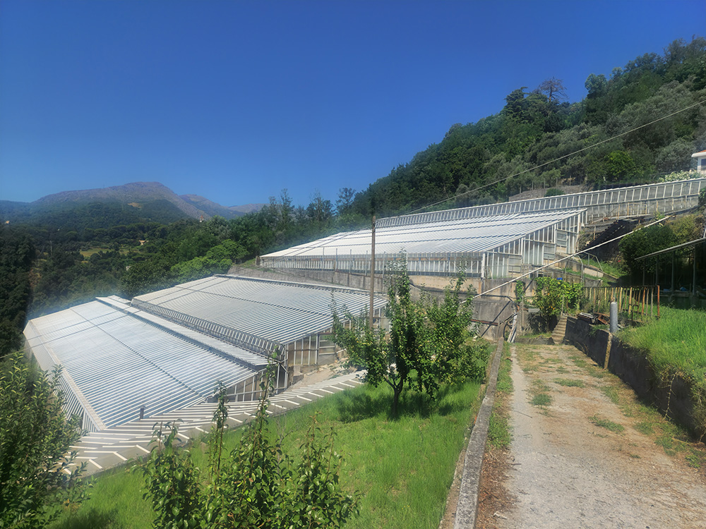 プラ地区（Frazione di Prà）の高台にある温室