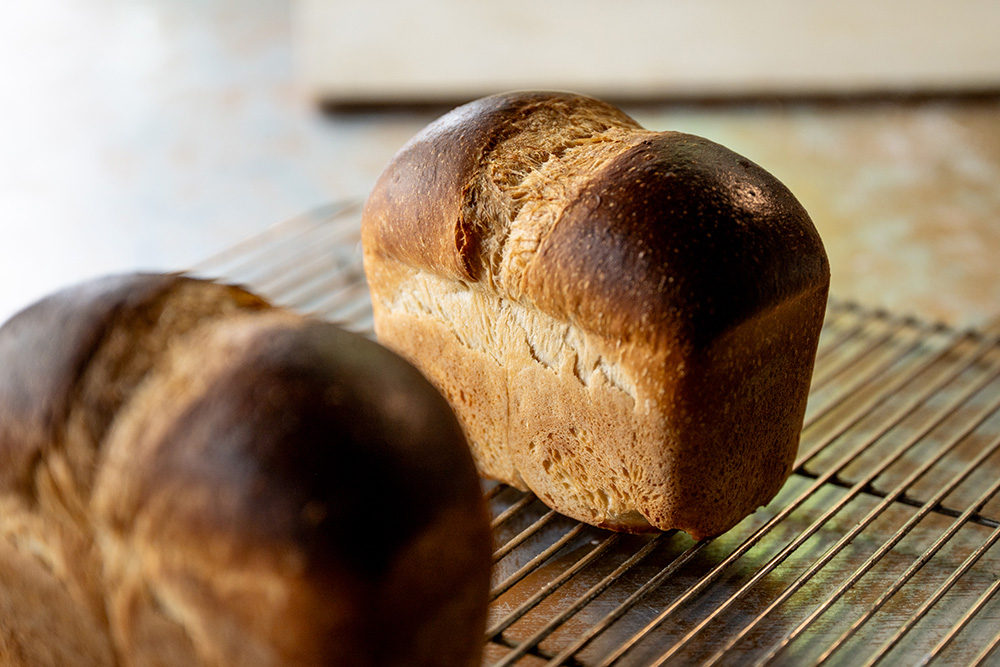 山型の立ち上がりも美しく焼き上がった食パン