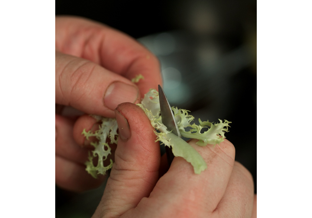 細めの芯は包丁で半分に