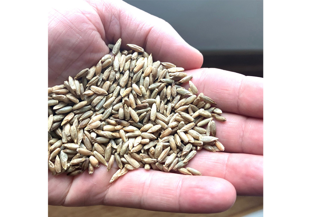 BGMが仕入れる小麦