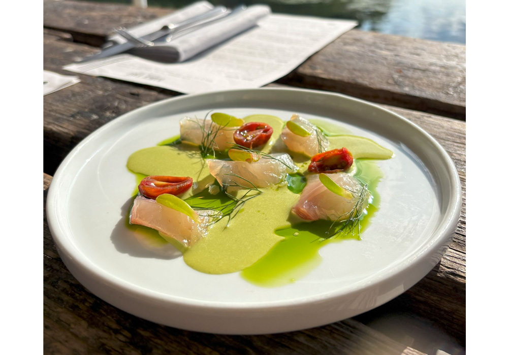 ヨーロッパへダイ（鯛）のクルード