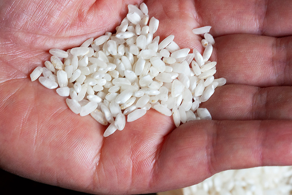 大きい粒立ちと心白が特徴の“マリスマ”