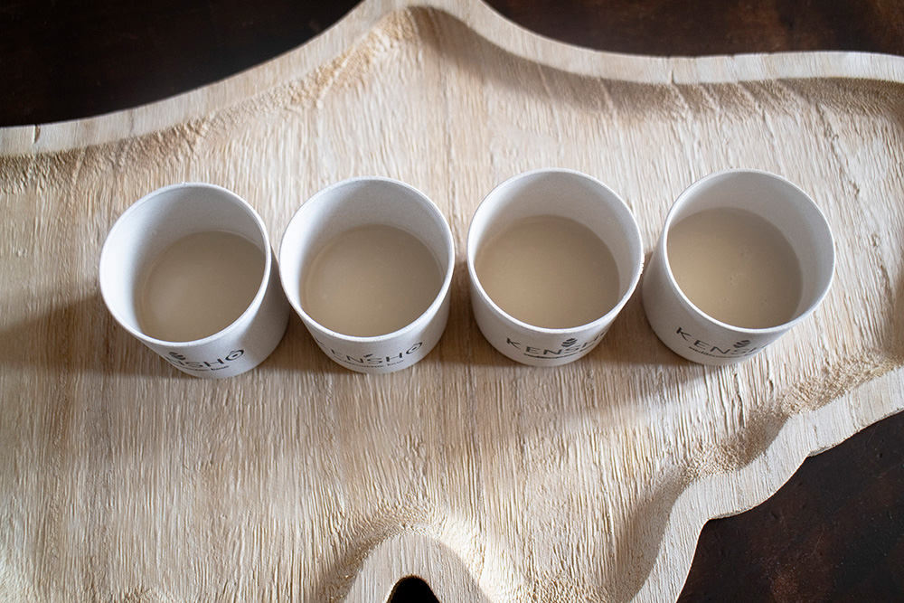 試飲用の利き猪口