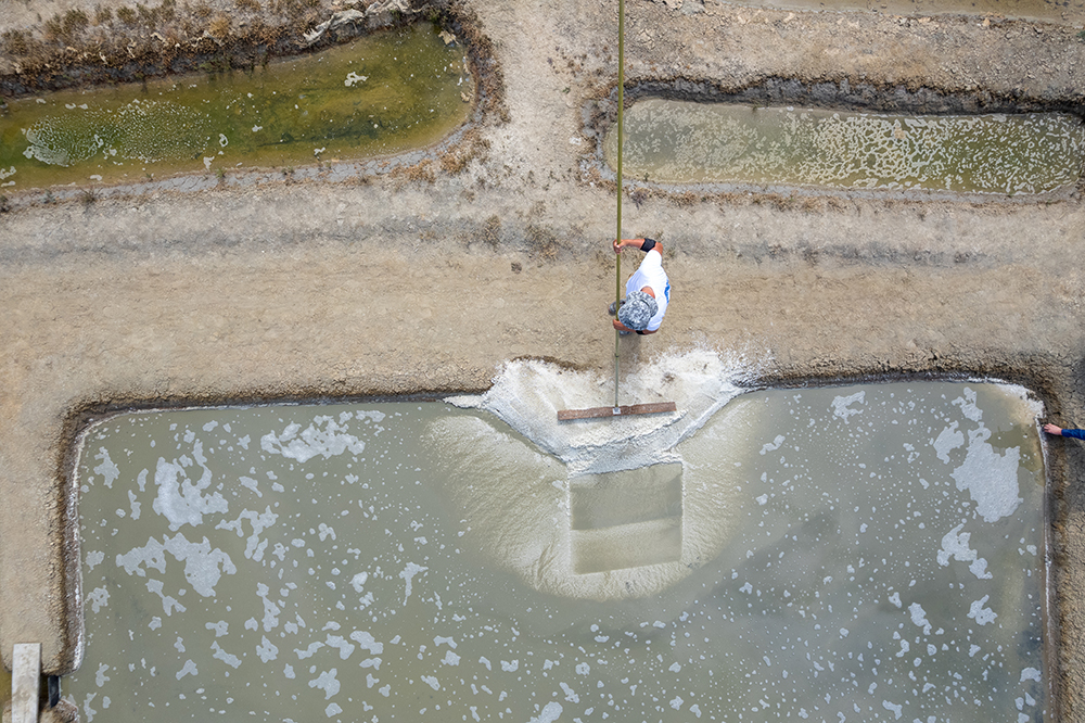 刹那の自然環境が育む結晶の奇跡。「ゲランドの塩」を訪ねて