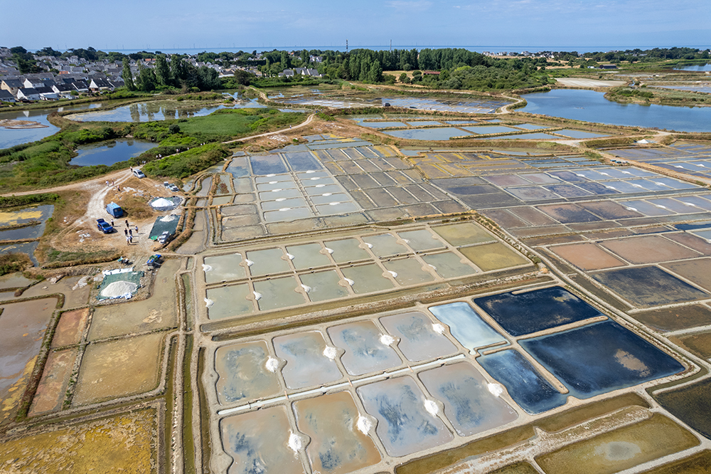 ゲランドの塩田地帯