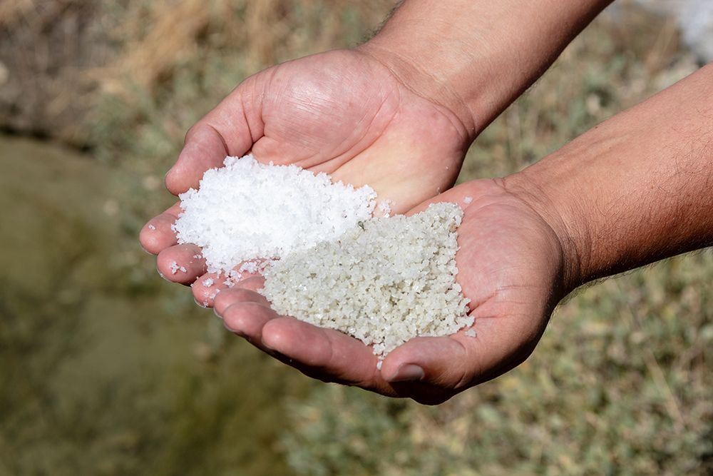 同じウイエから採取された２種の塩