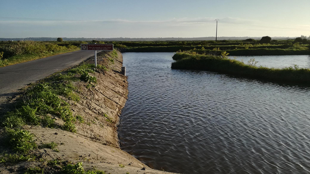 ゲランドの入り組んだ自然堤防の一部