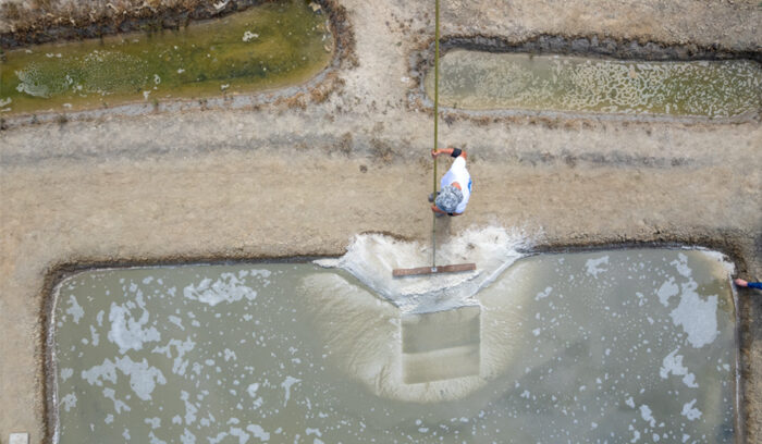 刹那の自然環境が育む結晶の奇跡。「ゲランドの塩」を訪ねて