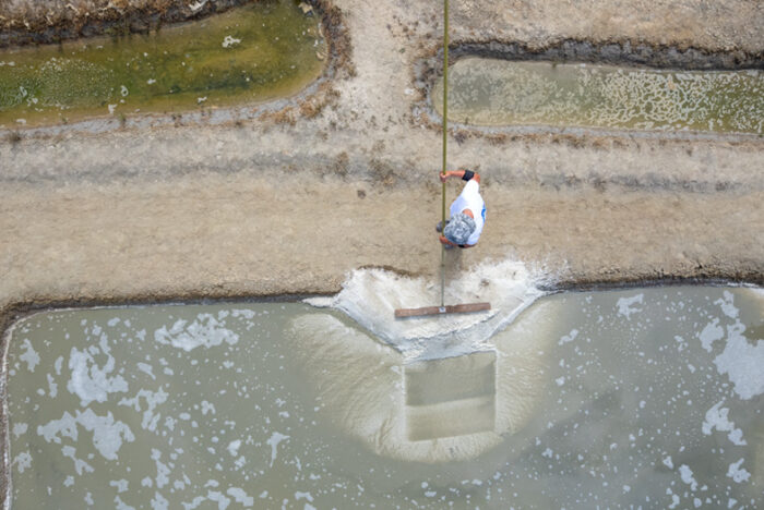刹那の自然環境が育む結晶の奇跡。「ゲランドの塩」を訪ねて