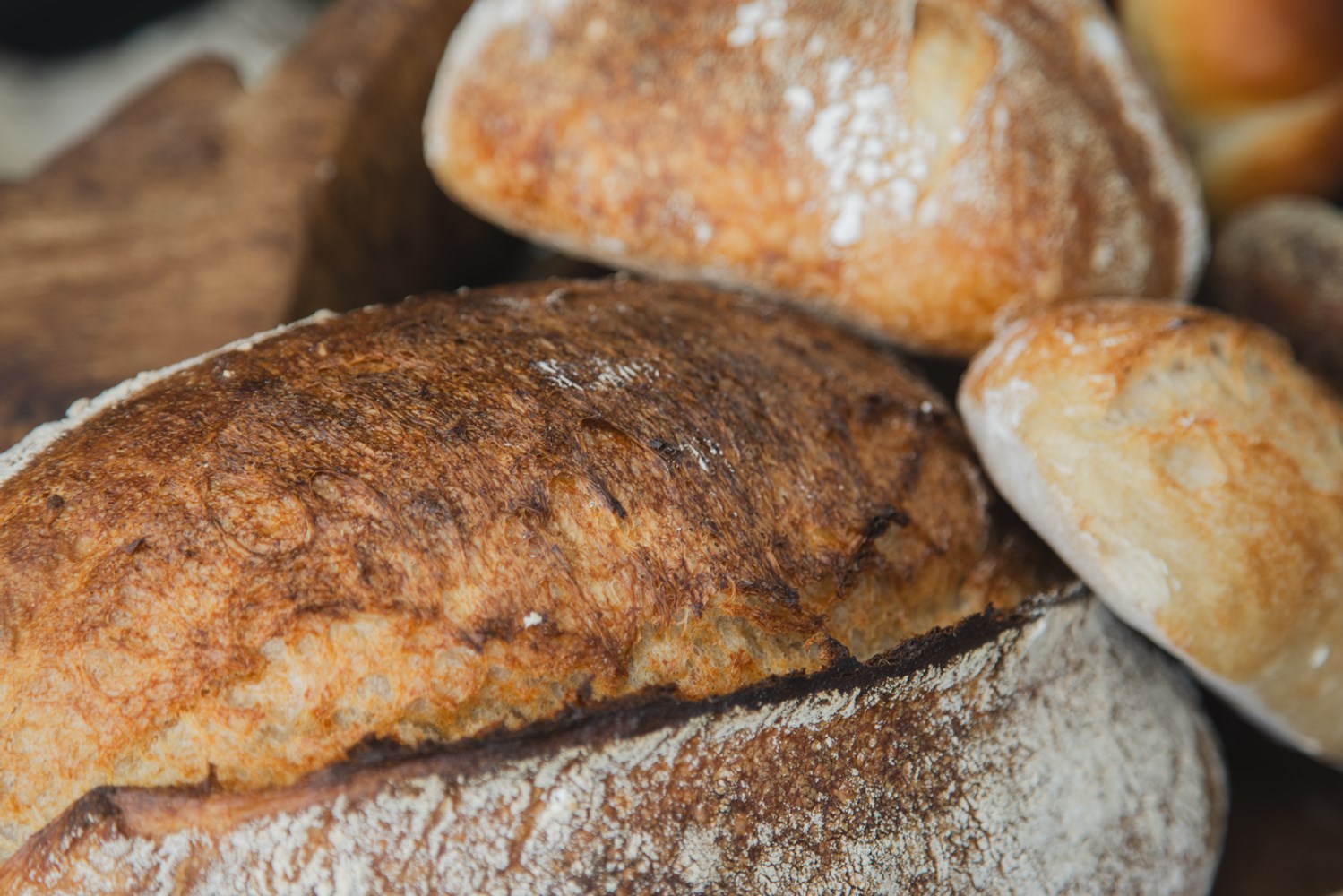 店名を冠したレーズン酵母のパン「TruffleBAKERY」ブレンドの小麦粉に全粒粉とライ麦を加えている。