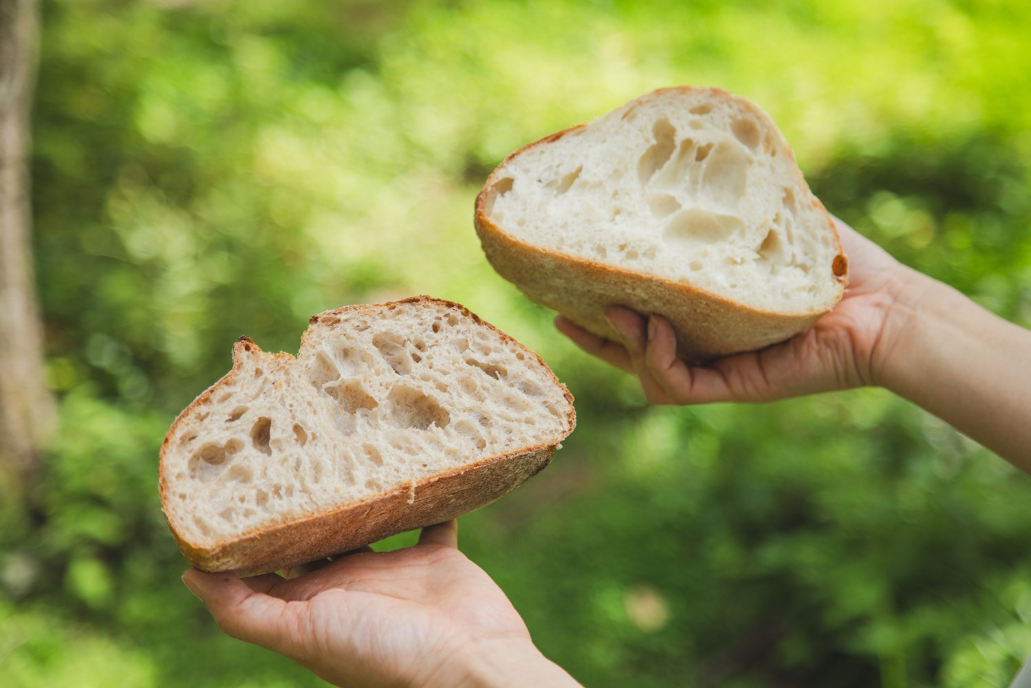 （左）シリアルパン。ライ麦、ひまわりの種やかぼちゃの種、アマニ油で作ったシリアル専用のアロマを加えた生地。アロマを使うことで穀物も消化によく、食べやすく、サクッとしたサンドイッチ向きの食感に。（右）レモン酵母のパン。レモンの香りを邪魔しない小麦を選び、塩とイーストとレモン酵母でシンプルに。