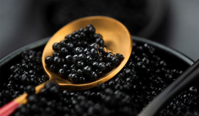 将来のキャビアの価格に影響が？養殖コスト削減につながるチョウザメ雌雄判別技術