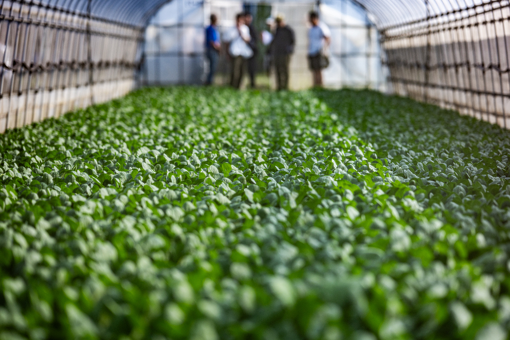 こうして料理人は自然の代弁者になる。５人のシェフが産地に教わること。