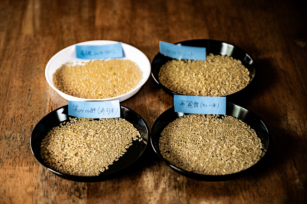 ミルキークイーン、リゾット米、カリー米、すし米