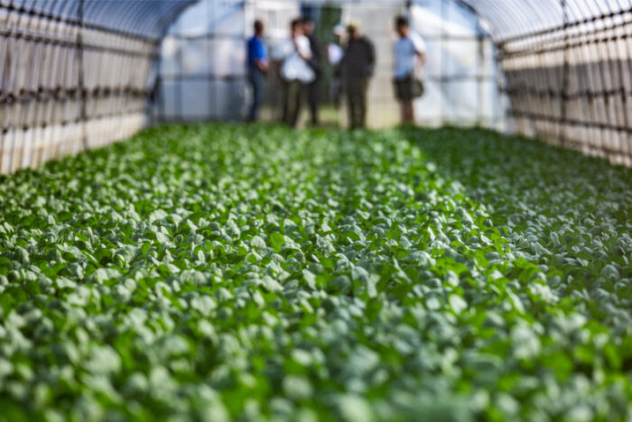 こうして料理人は自然の代弁者になる。５人のシェフが茨城の産地に教わること。