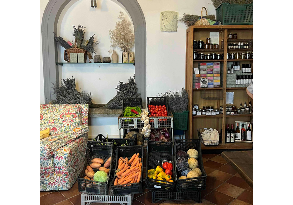 日替わり農家の直売所