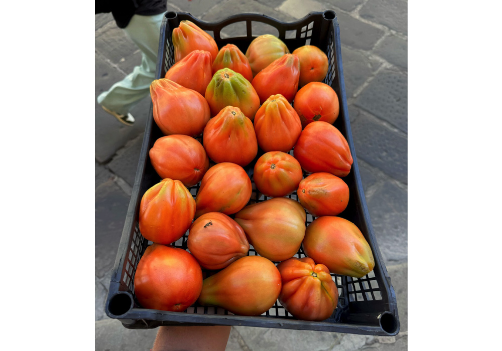 サラダ用トマト