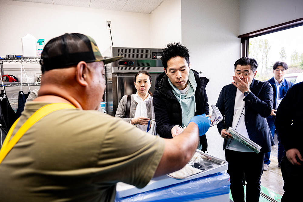 選別したばかりの「暁のしらうお」を試食