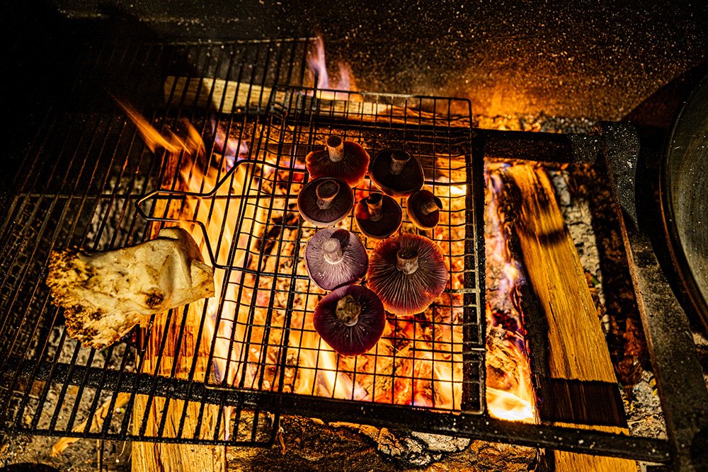 薪火でムラサキシメジやホウキタケを炙る