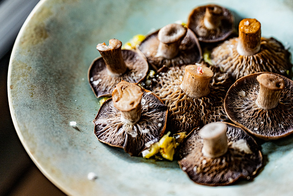 ムラサキシメジの薪焼き