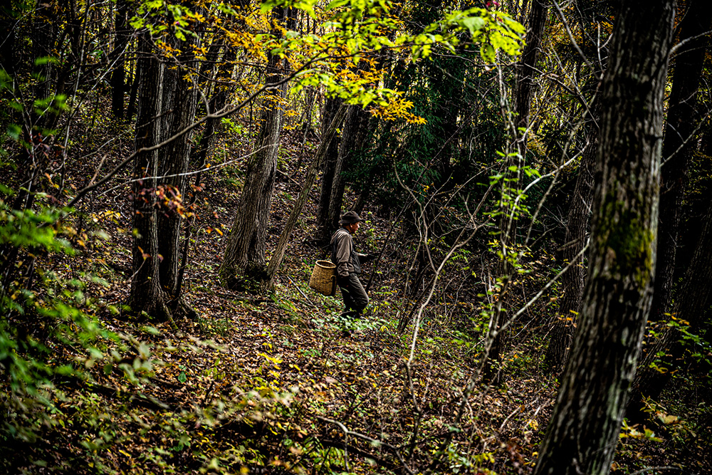 山を歩く丸山さん