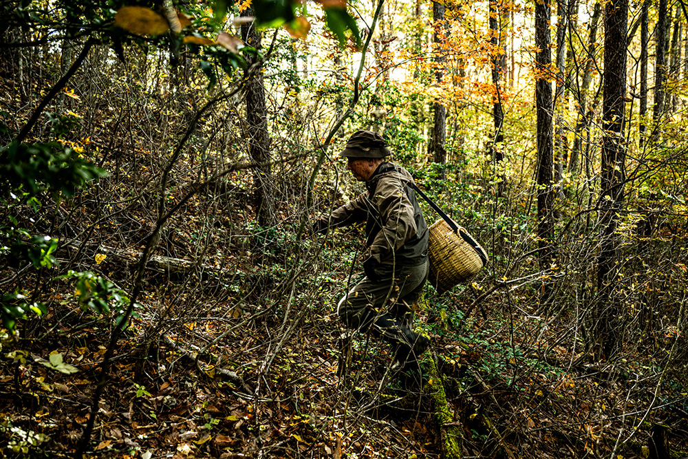 軽快に山を歩く丸山さん