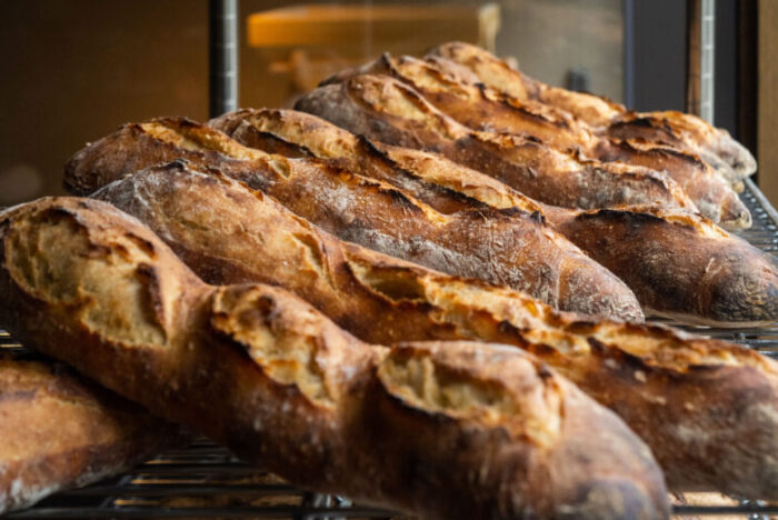 北海道と本州・九州の小麦は、なぜ違う？ゲノムが語る、国産小麦の“設計図”