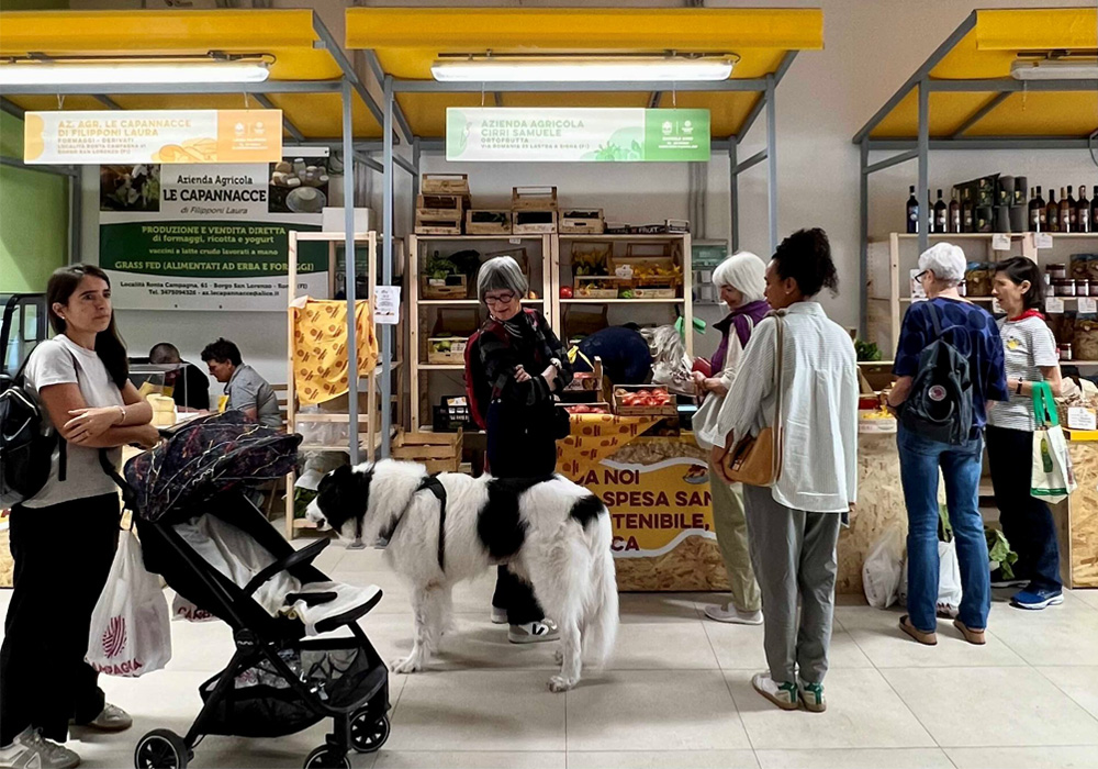 温故知新！生産者と住民がダイレクトに繋がる産直マーケットが急増中