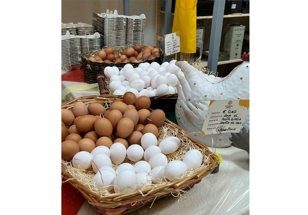 卵の鮮度は保証されている