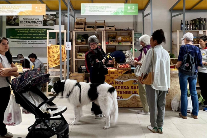 温故知新！生産者と住民がダイレクトに繋がる産直マーケットが急増中