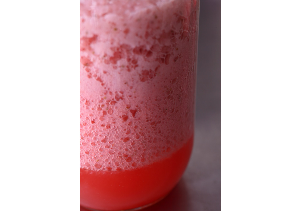 ［３］冷蔵保存する（７日目）