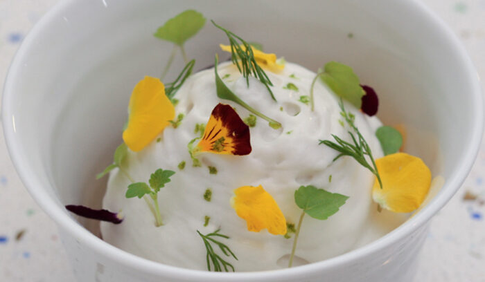 プラントベースの始め方