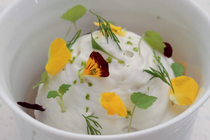 東南アジアのハーブが香るヴィーガン・ミルクスイーツ「パンナ・ココ」