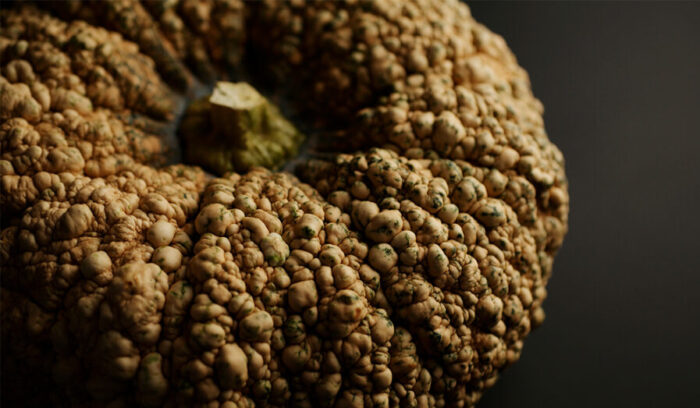 繋がりゆく、生命のかたち 「古来種野菜」は、美しい