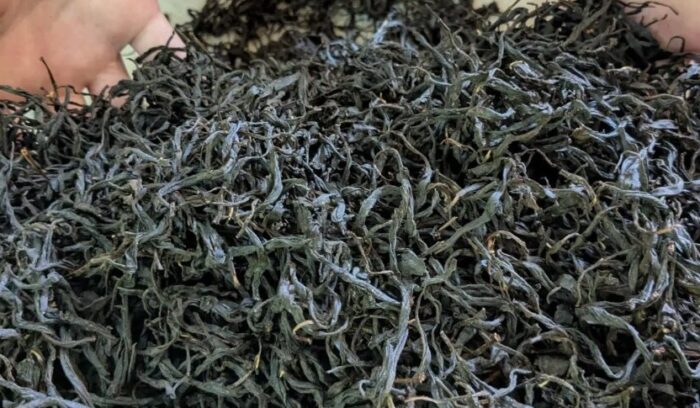 お茶作りの原理原則。「芯水」をいかにきれいに抜くか「和紅茶」